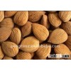 Bitter Apricot kernels/