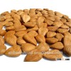 China apricot seeds for sale