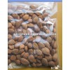 organic apricot seeds