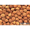 Raw apricot kernel.