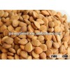 Bitter Apricot Seed