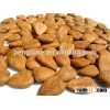2015 new crop organic certified bitter apricot kernel/apricot seeds