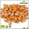 Chinese bitter apricot kernels