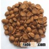 Bitter Apricot Kernel/Sweet Apricot Kernel/ Organic Sweet Apricot Kernels