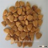 Fresh crop dried Almond / Raw Organic Almond Grade A