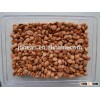 HPS bitter apricot kernels