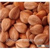 Sweet Apricot Kernels Market Price