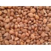 Chinese apricot kernels