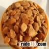 Organic Apricot Kernels