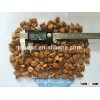 Bitter apricot kernel for sale bitter almonds