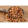 Apricot Kernel, Best Quality Apricot Kernel, Grade A Apricot Kernel
