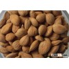 raw apricot seeds