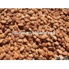 Apricot Kernel in Apricot Kernel Quality