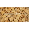 Organic bitter apricot seeds