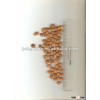 Bitter Apricot seeds/kernels