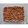 High Quality Bitter Apricot Kernels Price