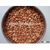Sweet Apricot Kernel Almond apricot pit