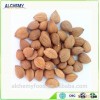 Bulk dry bitter apricot kernel