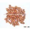 sweet apricot kernels