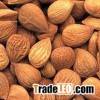 Baked apricot kernel