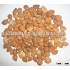 Apricot Kernel
