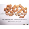 ALIBABA USED EXCLUSIVELY COMMONbitter apricot kernels(GF3)