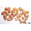 CHINESE NATURALLY GROWN HPS bitter apricot kernels