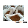 High Quality Apricot Kernels