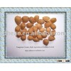 ALIBABA USED EXCLUSIVELY HPS bitter apricot kernels(GF1)