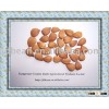 HIGH QUALITY bitter apricot kernels