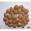 Best Quality Common bitter apricot kernels(GF3)