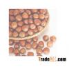 High Quality Apricot Kernel