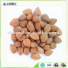 China product all kinds apricot kernel