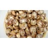 BETEL NUT - ARECA NUT