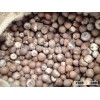 Best Quality Split Betel Nuts