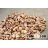 Dried Split Betel Nuts