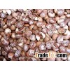 Natural Raw Dried Betel Nuts/ sliced cut dried betel nuts