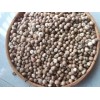 Betel Nuts WHOLE 60-65% good whole, well dried