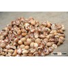 Natural Raw Dried Betel Nuts for sale