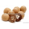BETEL NUT BEST PRICE