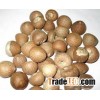 Raw Betel Nuts Kernel