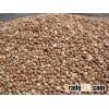 Brazil Nuts, Betel Nuts, Almond Nuts, Cashew Nuts, Walnuts