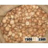Betel Nuts (SUPARI)