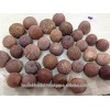 THE BEST QUALITY BOILED BETEL NUTS FROM VIETNAM