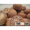 Betel Nuts ( fresh and dried ) Whole and splite Betel Nuts