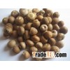Thai Betel Nuts Whole and Split / Slice Betel Nut