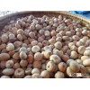 DRIED BETEL NUT: WHOLE, SLICED OR PORTIONED