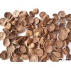 Cheap price Half Cut (Young )Betel Nuts