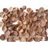 Betel Nuts Half Cut (Young )