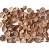 BEST QUALITY HALFCUT (YOUNG) BETEL NUTS